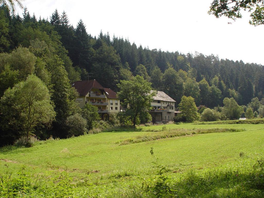 Business Class Hotel Haeckermuehle Tiefenbronn Exterior foto